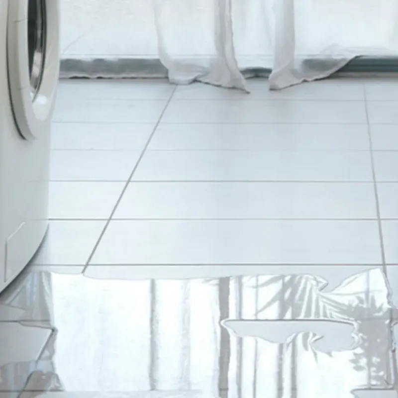 Appliance Leak Cleanup in Marshall, MN