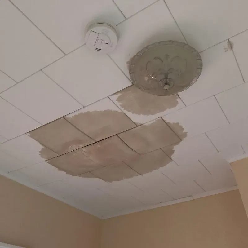 Ceiling Water Damage Repair in Marshall, MN